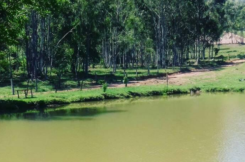 Paisagem