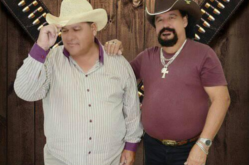 Shows